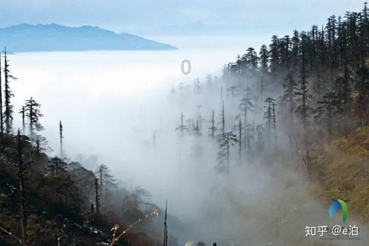 好玩的修仙游戏绝世仙王